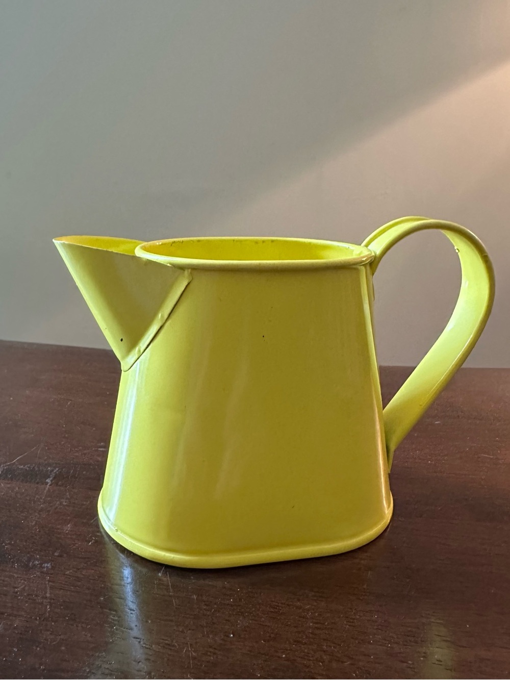 Child size metal watering can • succulent container • toy • multi-use